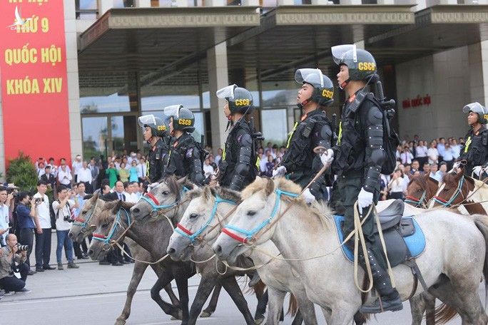 Đoàn Cảnh sát cơ động Kỵ binh: Giống ngựa kỵ binh sức khoẻ tốt, ngoại hình phù hợp - Ảnh 2.