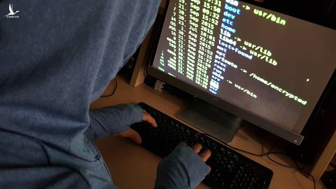 Các hacker luôn nhắm vào việc lừa đảo lấy cắp thông tin tài khoản ngân hàng /// Ảnh: Đào Ngọc Thạch