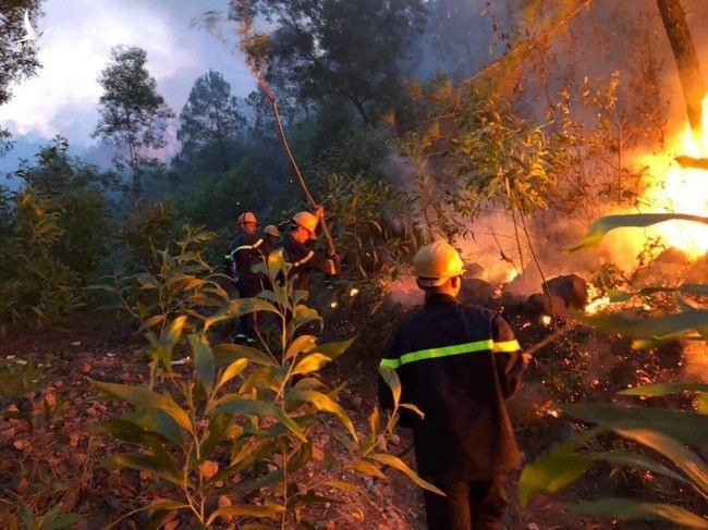 Cháy rừng Diễn Châu: Chưa thể khống chế, ngàn người dập lửa - Ảnh 1.