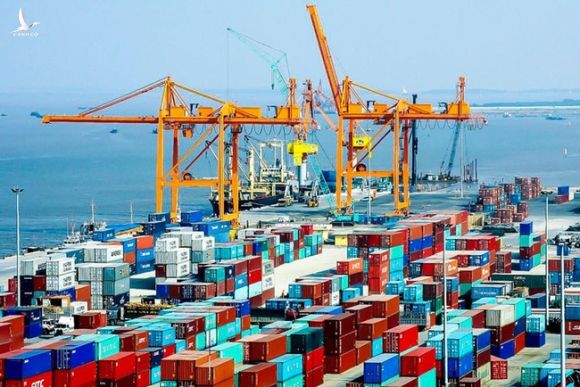Nếu thu phí cảng biển như Hải Phòng, TP.HCM dự kiến thu hơn 2.700 tỷ đồng/năm - Ảnh 1.
