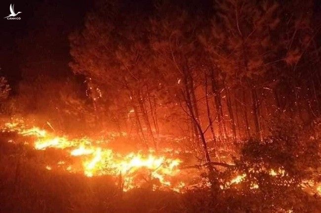 Cháy rừng Diễn Châu: Chưa thể khống chế, ngàn người dập lửa - Ảnh 3.