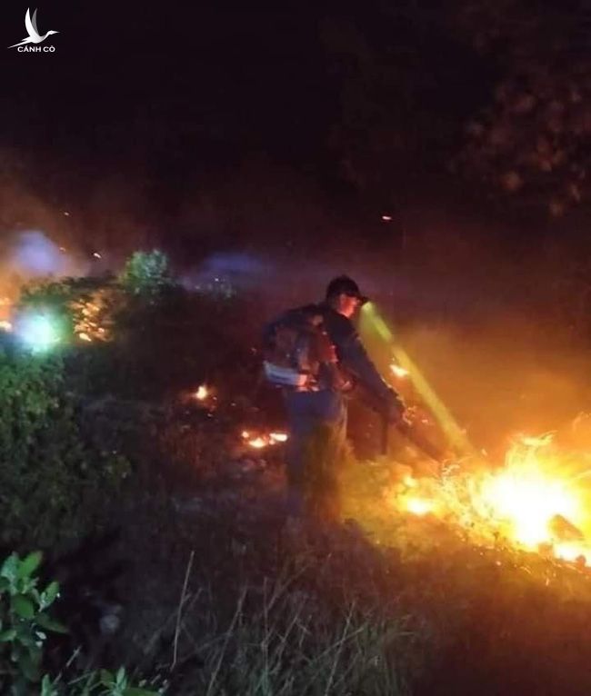 Cháy rừng Diễn Châu: Chưa thể khống chế, ngàn người dập lửa - Ảnh 2.