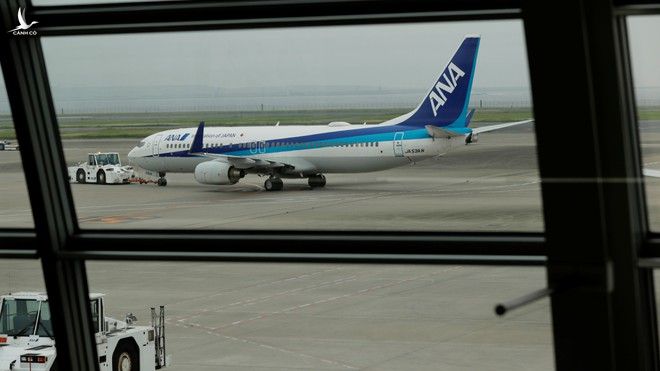 Máy bay của hãng ANA tại sân bay Haneda /// Reuters