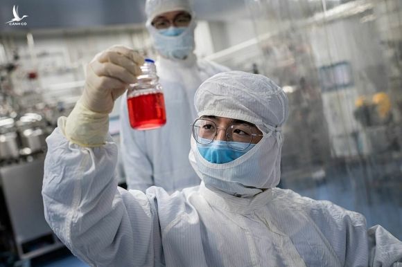 Chuyên viên điều chế vaccine trong một phòng thí nghiệm của Sinovac Biotech ngày 29/04/2020. AFP