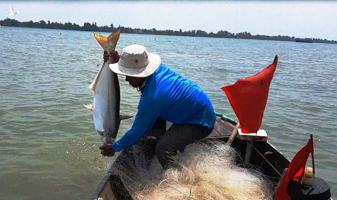 Ngư dân đánh bắt cá trên sông Mê Kông đoạn chảy qua H.Thanh Bình, Đồng Tháp /// Trác Rin