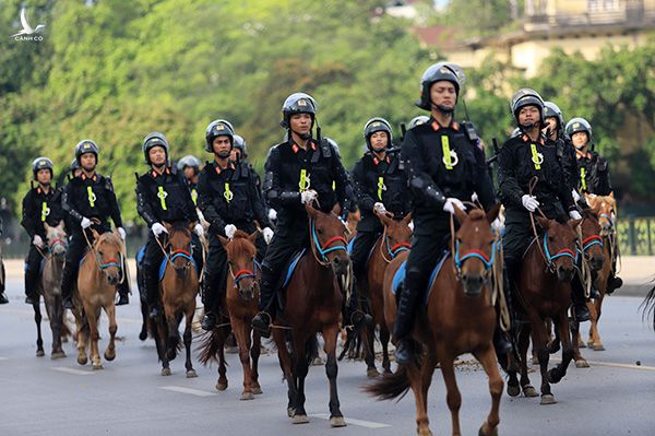 Chủ tịch Quốc hội Nguyễn Thị Kim Ngân nói về việc thành lâp Đoàn Cảnh sát cơ động kỵ binh - Ảnh 1.