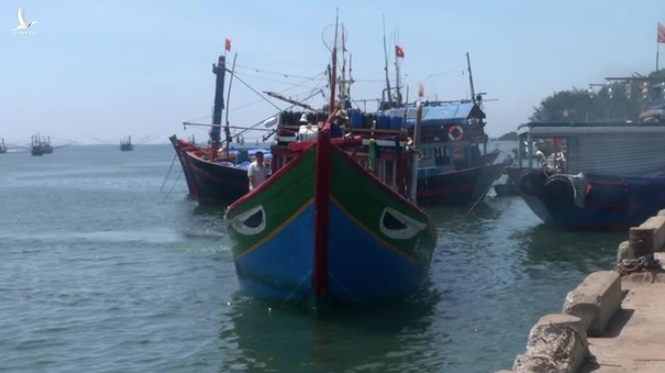 Yêu cầu Trung Quốc phối hợp giải quyết vụ chèn ép tàu cá Việt Nam ở Hoàng Sa - ảnh 1