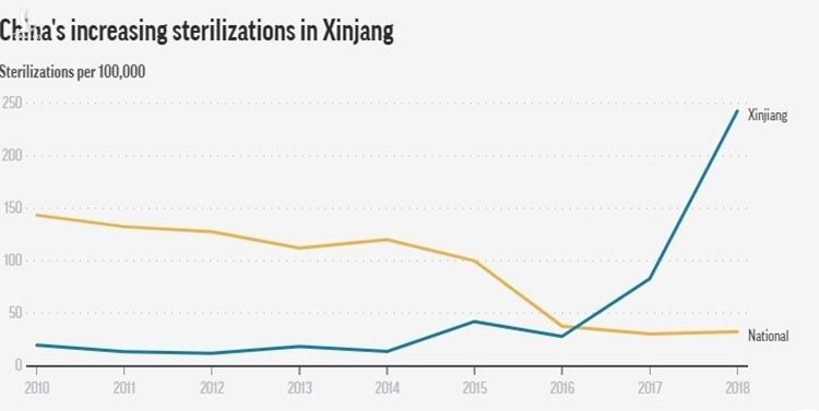 Tỷ lệ triệt sản ở Tân Cương (đường màu xanh) tăng đột ngột từ năm 2016 đến 2018. Đồ họa: AP.