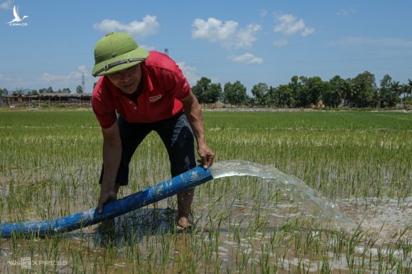 Anh Đặng Bá Trung (xã Nghi Hoa, huyện Nghi Lộc) dùng máy bơm mini bơm nước cứu 3 sào lúa. Ảnh: Nguyễn Hải
