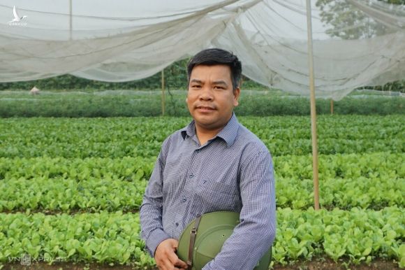 Anh Vương Sỹ Thành từng khăn gói vào Lâm Đồng nửa năm học trồng rau sạch. Ảnh: Hoàng Phương.