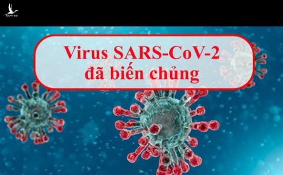 Biến chủng của virus Sars-Cov-2 ở Đà Nẵng có bất thường không?