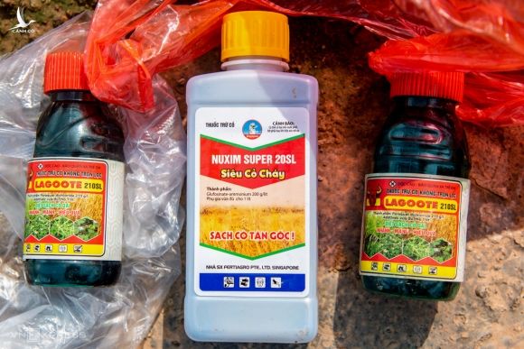 Một trong những chai thuốc diệt cỏ bà Thêu dùng, trên nhãn ghi có chứa Paraquat, hoạt chất cực độc đã bị cấm dùng tại Việt Nam. Ảnh: Thanh Huế.