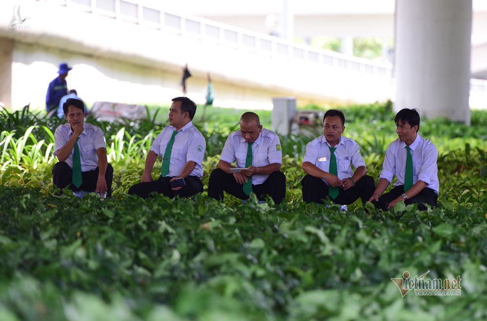 'Nắng tỏa không đều', đầu tàu TP.HCM cần cơ chế để phát triển