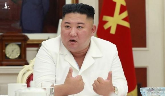 Ông Kim Jong-un sẽ chọn em gái kế vị nếu có vấn đế sức khỏe? - 1
