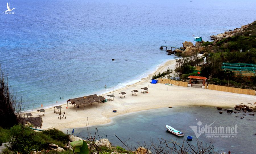 Độc nhất đất Việt: Hòn đảo rợp trời hải âu, chỉ đón 300 khách/ngày