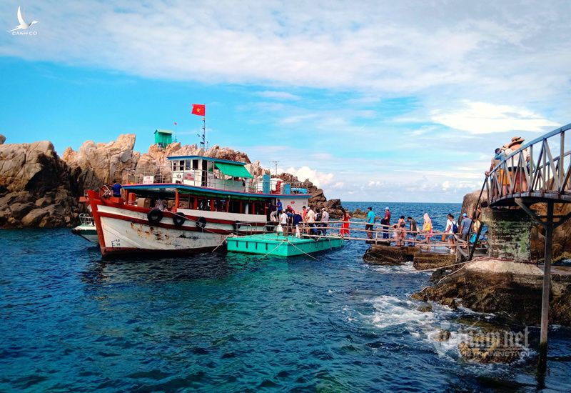Độc nhất đất Việt: Hòn đảo rợp trời hải âu, chỉ đón 300 khách/ngày