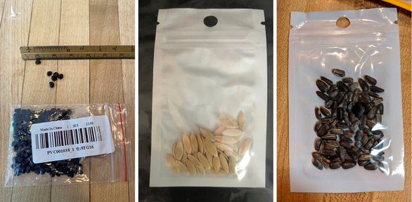 Có gì trong các gói hạt giống bí ẩn gửi từ Trung Quốc? - Ảnh 1.