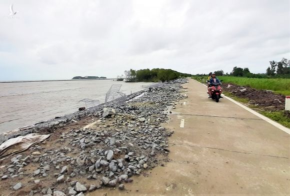 Đoạn đê thuộc xã Khánh Bình Tây, huyện Trần Văn Thời bị sóng biển đánh sạt lở nghiêm trọng hồi đầu tháng 8. Ảnh: Trung Dũng.