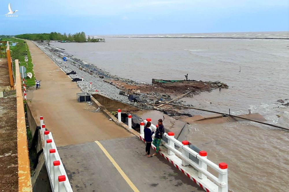 Đoạn đê bờ Bắc – bờ Nam cống Kênh Mới (xã Khánh Hải, huyện Trần Văn Thời) không còn rừng phòng hộ bên ngoài bảo vệ. Ảnh: Trung Dũng