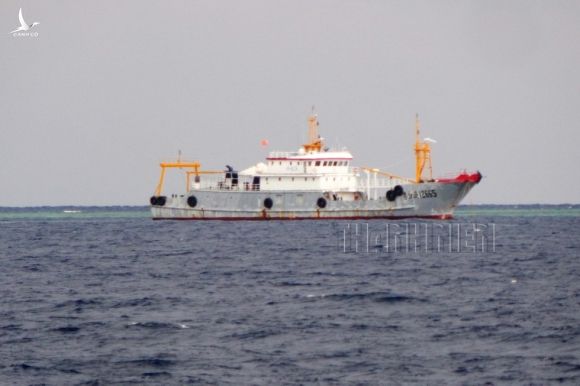 Nhận dạng tàu cá Trung Quốc - Kỳ 1: Đa phần là tàu vỏ sắt - ảnh 11