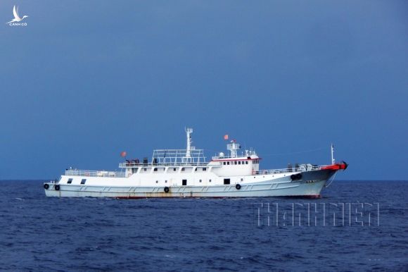 Nhận dạng tàu cá Trung Quốc - Kỳ 1: Đa phần là tàu vỏ sắt - ảnh 12