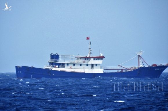 Nhận dạng tàu cá Trung Quốc - Kỳ 1: Đa phần là tàu vỏ sắt - ảnh 3