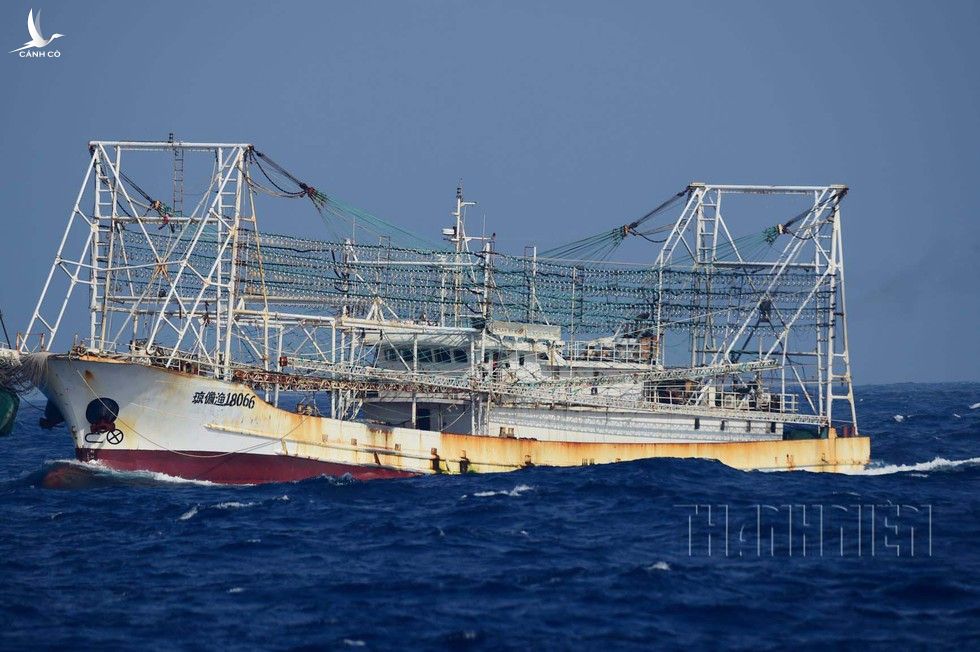 Nhận diện tàu cá Trung Quốc - Kỳ 5: Phá rối thăm dò khảo sát dầu khí - ảnh 6