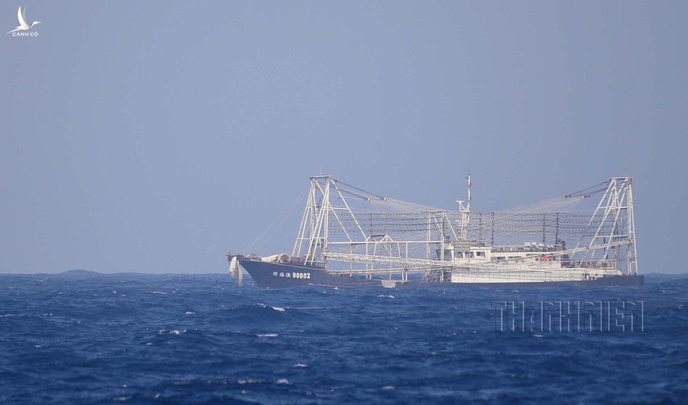 Nhận diện tàu cá Trung Quốc - Kỳ 5: Phá rối thăm dò khảo sát dầu khí - ảnh 7