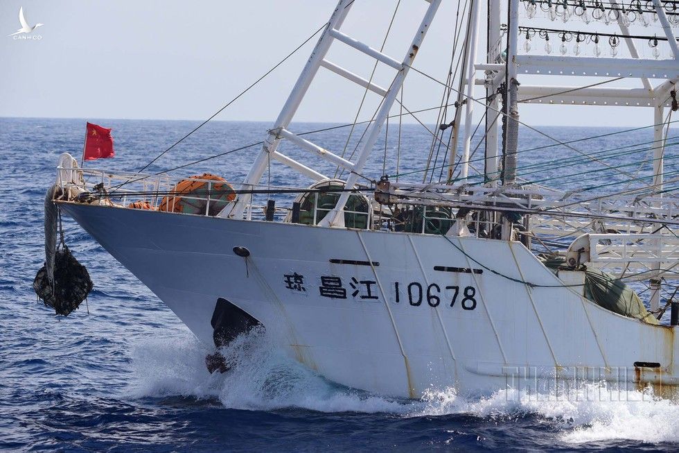 Nhận diện tàu cá Trung Quốc - Kỳ 5: Phá rối thăm dò khảo sát dầu khí - ảnh 9