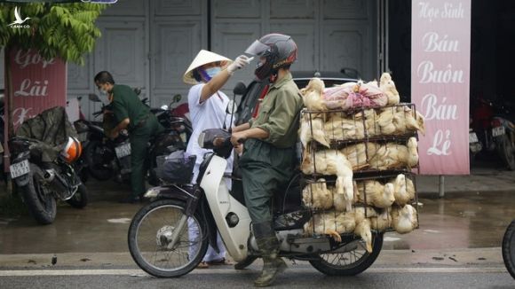 Hải Dương xét nghiệm Covid-19 cho toàn bộ người dân trong vùng cách ly - ảnh 2