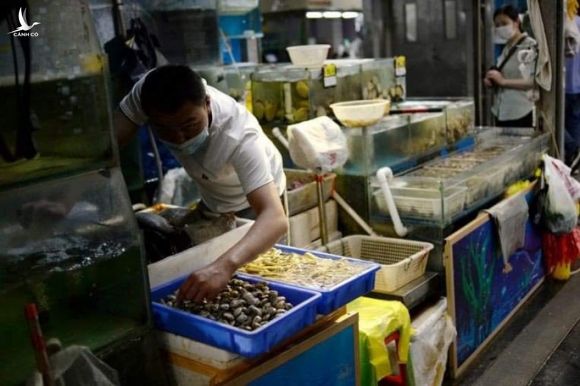Trung Quốc cấm hải sản dính virus SARS-CoV-2 từ Indonesia - Ảnh 1.