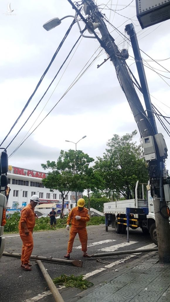 Vì sao hàng trăm cột điện tại Thừa Thiên Huế gãy đổ trong bão số 5? - 4