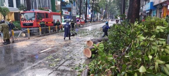 Người chết do cây ngã ở TPHCM, lộ nguyên nhân bất ngờ! - ảnh 2