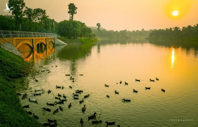 Khu đô thị xanh Ecopark, phía Đông Hà Nội. Ảnh: Cường Nguyễn