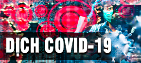 Dịch Covid-19