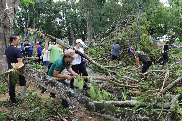 Người dân Huế thu dọn cây gãy đổ dọc sông Hương. Ảnh: Võ Thạnh