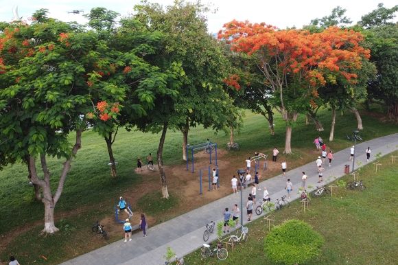 Công viên dọc sông Hương dày đặc cây xanh trước khi bão Noul đổ bộ. Ảnh: Võ Thạnh