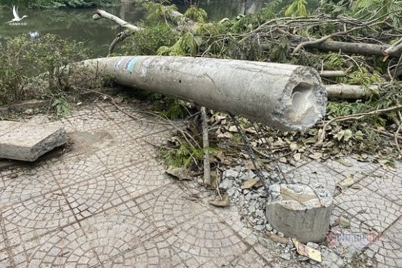 Điện lực TT-Huế lên tiếng việc 200 cột điện gãy, đổ dù 'đạt tiêu chuẩn'