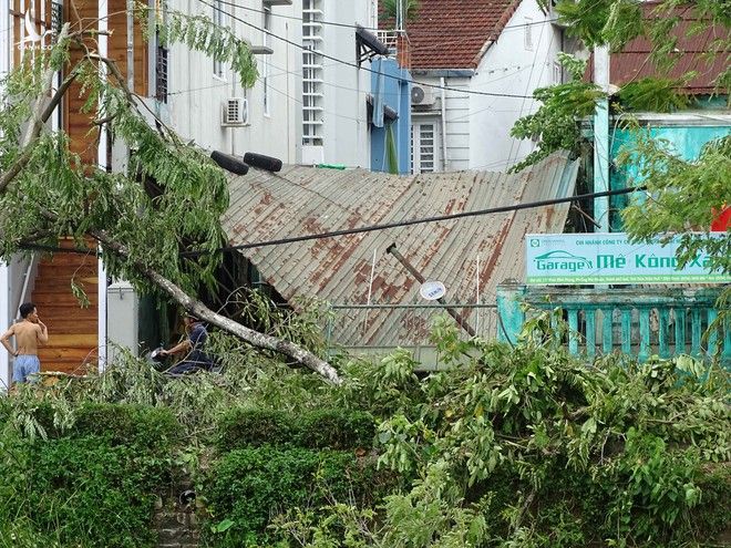 Bàng hoàng cây đổ la liệt cùng trụ điện, nhà bay mất mái sau bão số 5 - ảnh 6