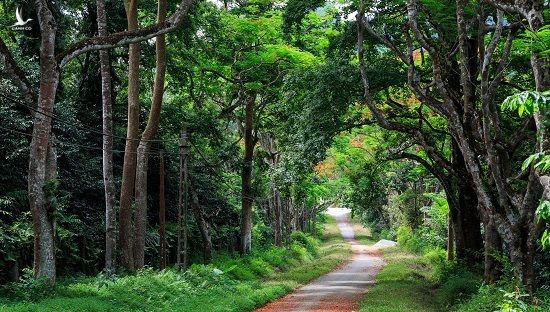 Làm thế nào để có 'mỡ nó rán nó'