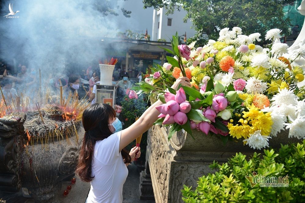 Cá phóng sinh Rằm tháng Bảy chưa kịp bơi đã bị chích điện