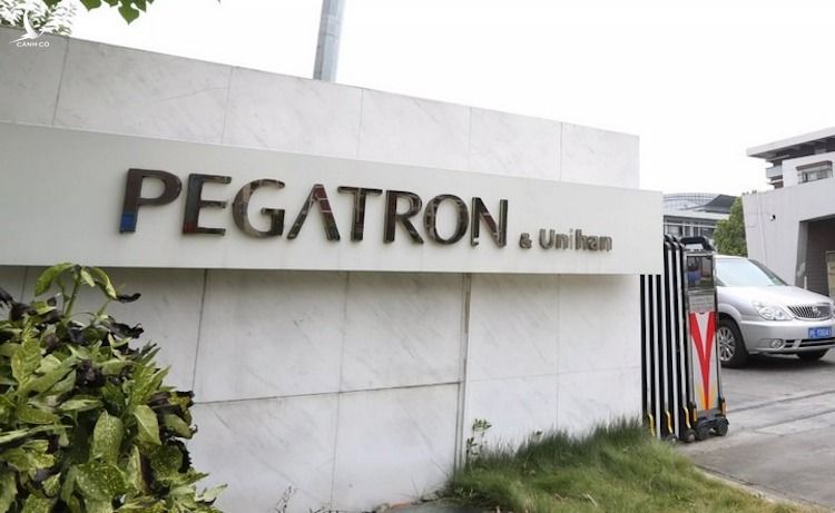 Nhà máy tập đoàn Pegatron tại Đài Loan (Trung Quốc). Ảnh: Depositphotos.