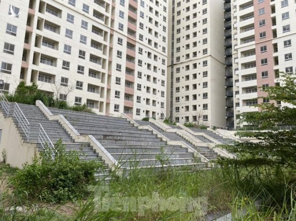 Xót xa chục ngàn căn hộ tái định cư bỏ không lãng phí ở Sài Gòn - Ảnh 3.
