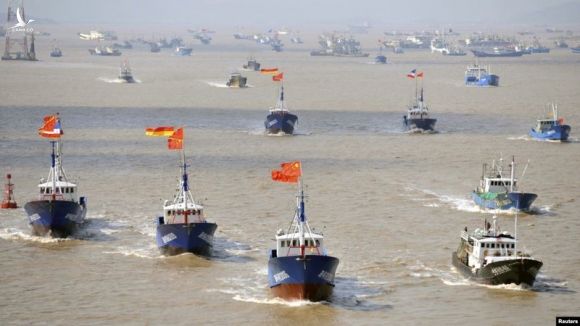 Mỹ cảnh báo nghiêm khắc việc Trung Quốc đánh bắt cá trái phép - ảnh 1