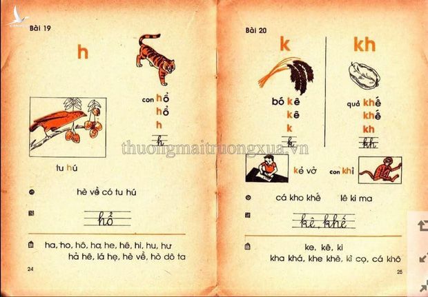 Sách giáo khoa Tiếng Việt 30 năm trước bỗng sốt xình xịch trở lại, đọc 1 trang là thấy cả tuổi thơ ùa về! - Ảnh 9.