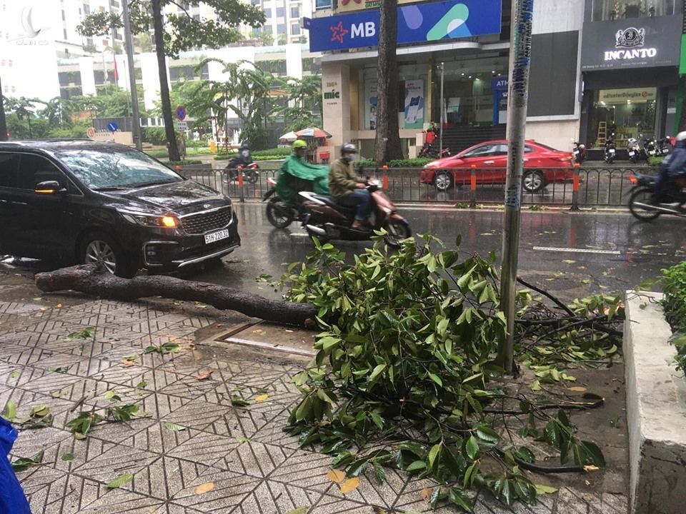 TP.HCM triển khai ứng phó bão số 9 ở khu vực giáp biển