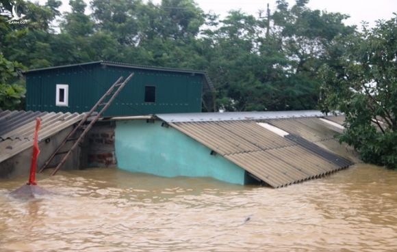 Quảng Bình: Người dân vùng lũ lên nóc nhà 'hét' xin cứu trợ mì tôm, nước uống - ảnh 6