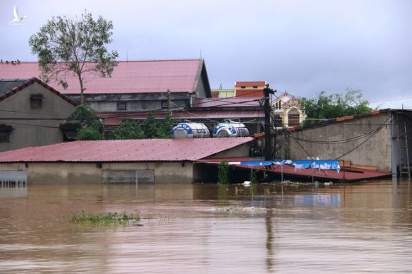 Quảng Bình: Người dân vùng lũ lên nóc nhà 'hét' xin cứu trợ mì tôm, nước uống - ảnh 10