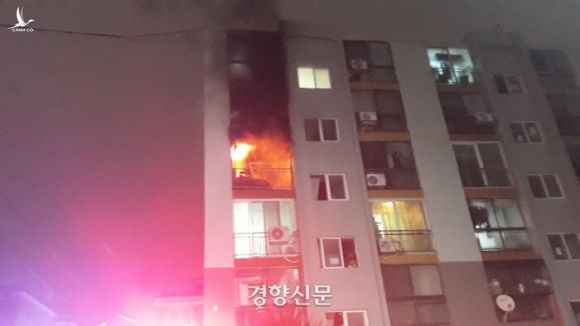Tòa chung cư thương mại Hàn Quốc cháy lớn trong đêm Ảnh 3