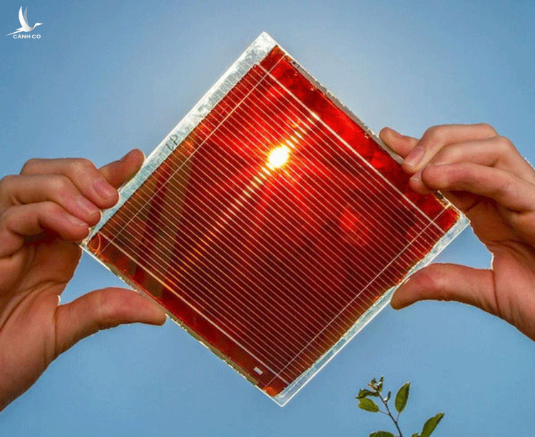 Pin mặt trời perovskite có nhiều ưu điểm so với pin silic truyền thống. Ảnh: Solar Energy.